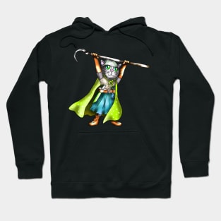 Fighter cat ready for battle Hoodie